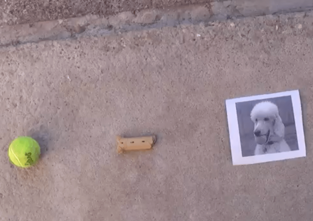 Tube Amp Theory: Uncle Doug and his dog&nbsp;Rusty